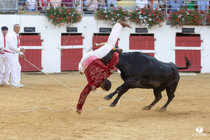 Nogaro Corne d'Or 2023