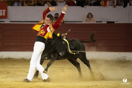 Landes émotions à Aire-sur-l'Adour