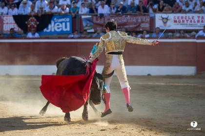 Mont-de-Marsan corrida d'Adolfo Martin