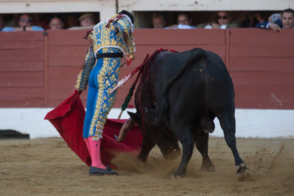 corrida, toro, vic fezensac, alcurrucen, michelito, morenito de aranda