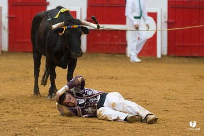 Nogaro Championnatde France de Course Landaise 2017