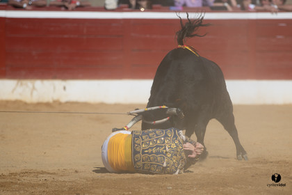 Mont-de-Marsan championnat de France de course landaise 2019