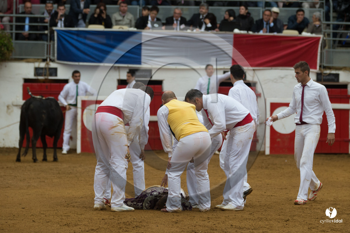 Nogaro Championnatde France de Course Landaise 2017