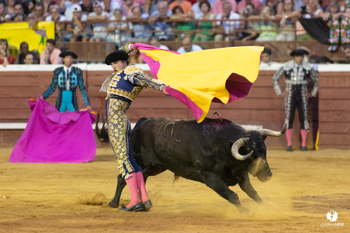 Corrida de Villeneuve-de-Marsan