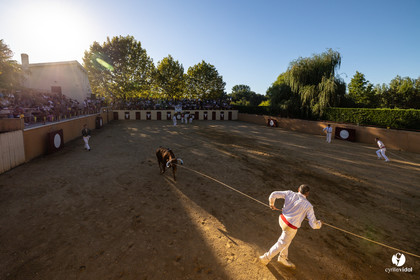Course landaise