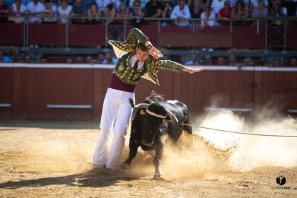 Mont-de-Marsan championnat de France de course landaise 2019