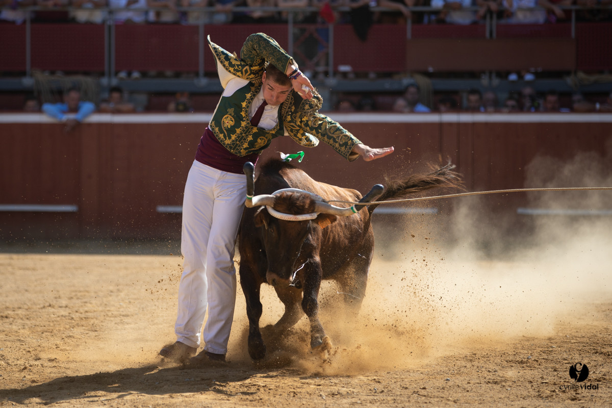 Mont-de-Marsan championnat de France de course landaise 2019