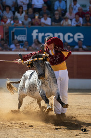 Mont-de-Marsan championnat de France de course landaise 2019