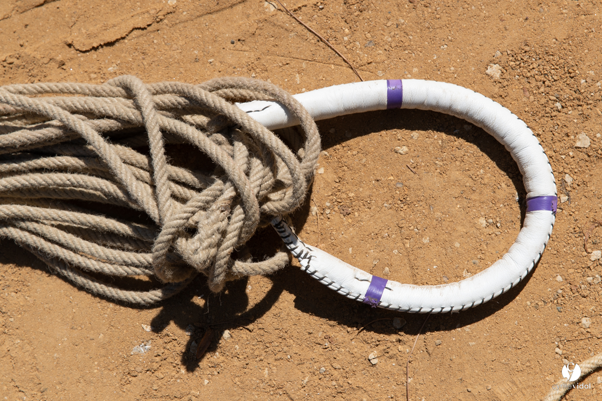 Course landaise à Panjas