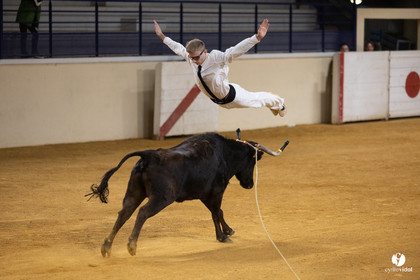Horsarrieu course landaise du boléro d'Argent