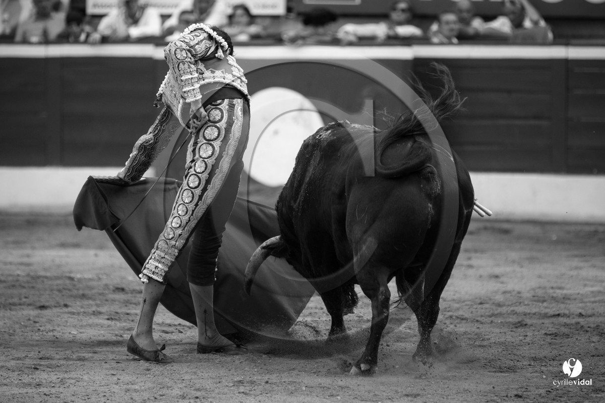 Mont-de-Marsan corrida de Jandilla pour Padilla - Talavante - Roca Rey