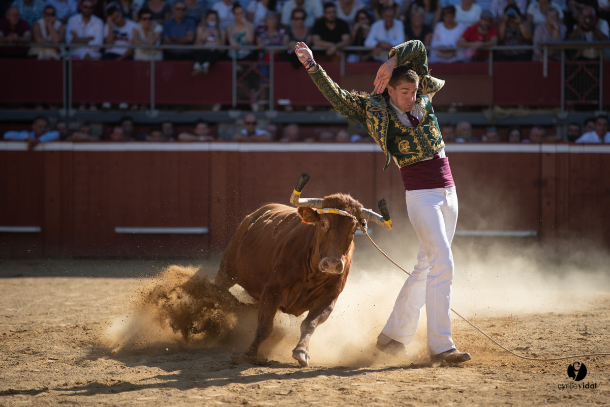 Mont-de-Marsan championnat de France de course landaise 2019