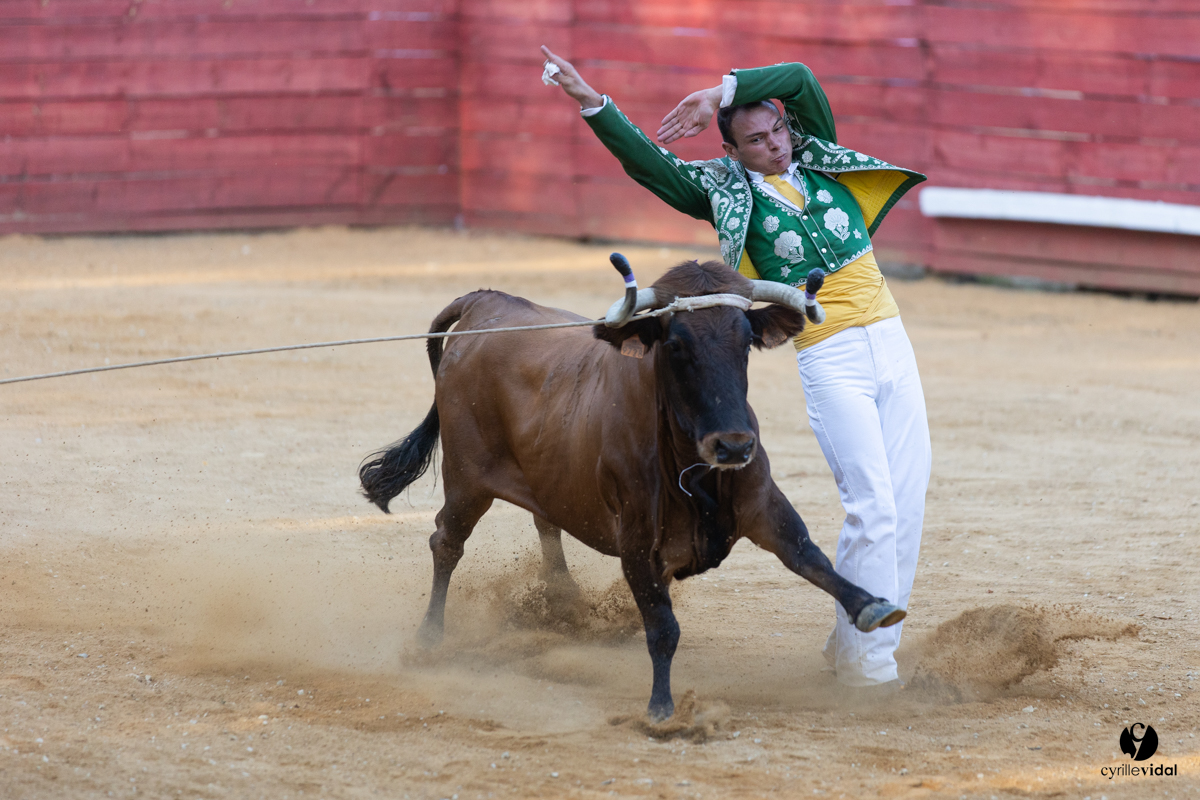 Course landaise à Panjas