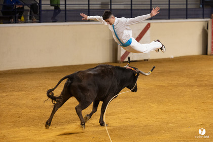 Horsarrieu course landaise du boléro d'Argent