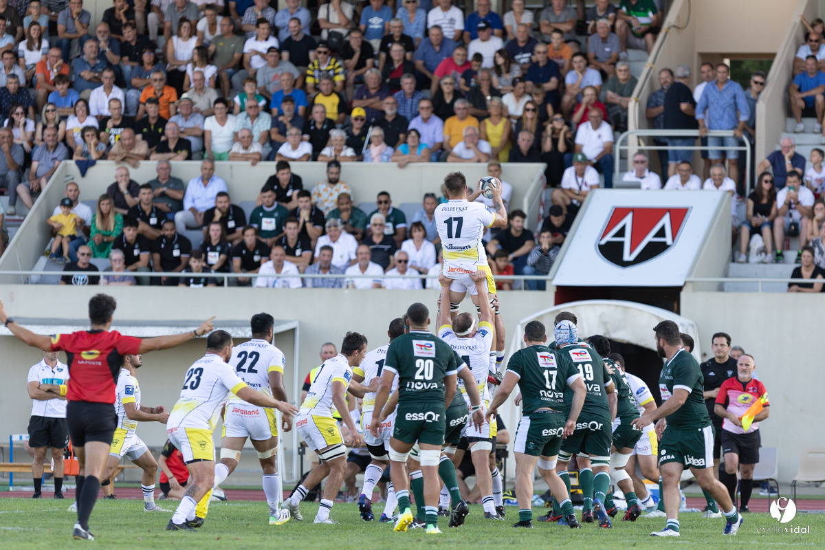 Stade Montois Rugby - Section Paloise