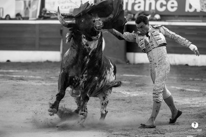Mont-de-Marsan corrida de Dolores Aguirre pour Octavio Chacon - Pepe Moral - Juan Léal