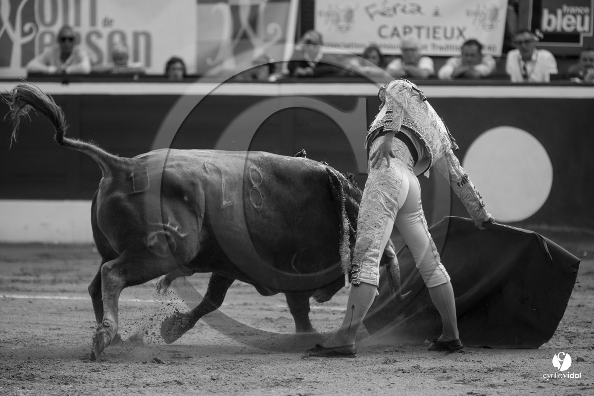 Mont-de-Marsan corrida de Dolores Aguirre pour Octavio Chacon - Pepe Moral - Juan Léal