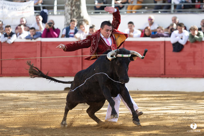 Nogaro Championnat de France de course landaise 2022