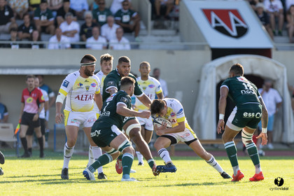 Stade Montois Rugby - Section Paloise