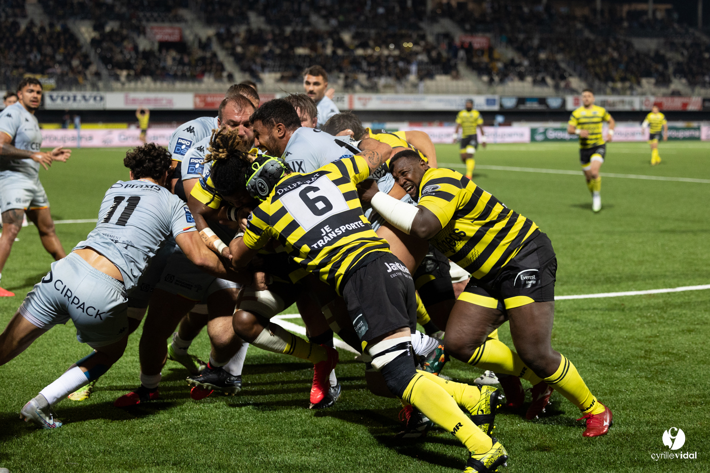 Stade Montois Rugby - Provence