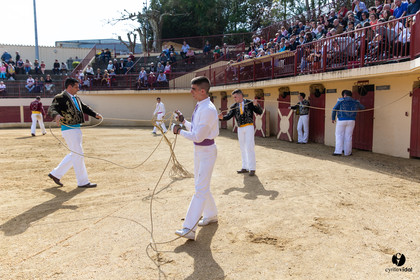 Course landaise Le Houga Ganadéria Dussau Cuadrilla Alexandre Brethes