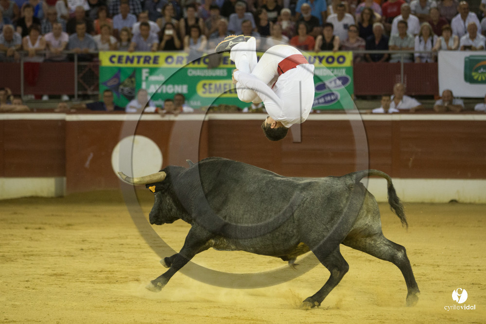 course landaise
