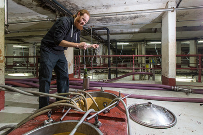 Cave de Labastide de Lévis