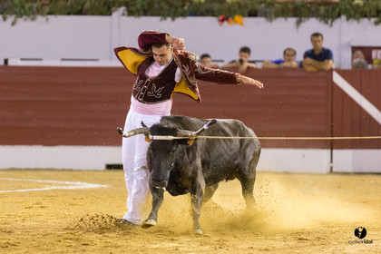 Aire sur l'Adour course landaise génération Aturine