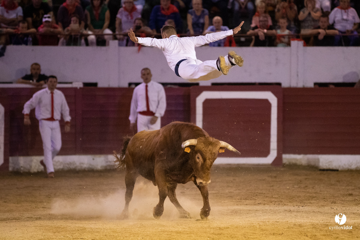 Landes émotions à Aire-sur-l'Adour