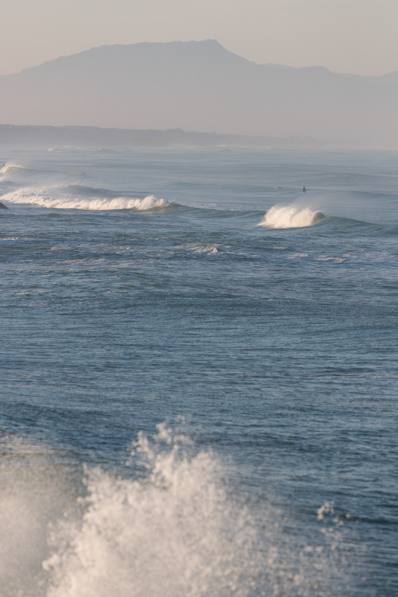 Paysages des Landes