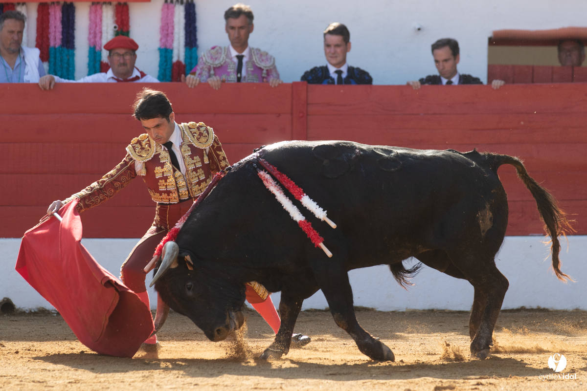 Corrida Aignan
