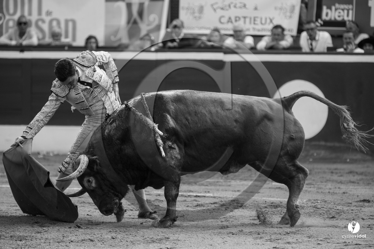 Mont-de-Marsan corrida de Dolores Aguirre pour Octavio Chacon - Pepe Moral - Juan Léal