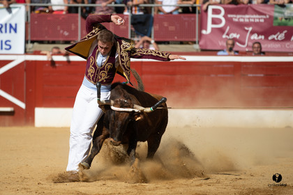Mont-de-Marsan championnat de France de course landaise 2019