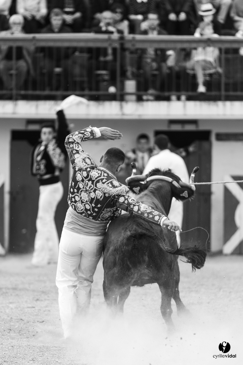 Course landaise Le Houga Ganadéria Dussau Cuadrilla Alexandre Brethes