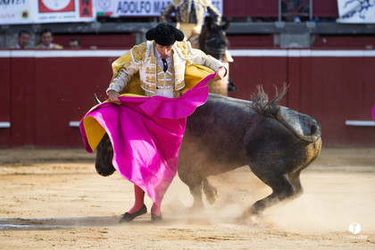 Mont-de-Marsan corrida d'Adolfo Martin