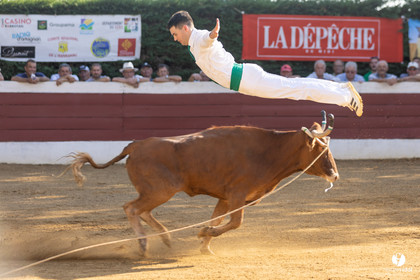 2022-08-28-2440.jpg