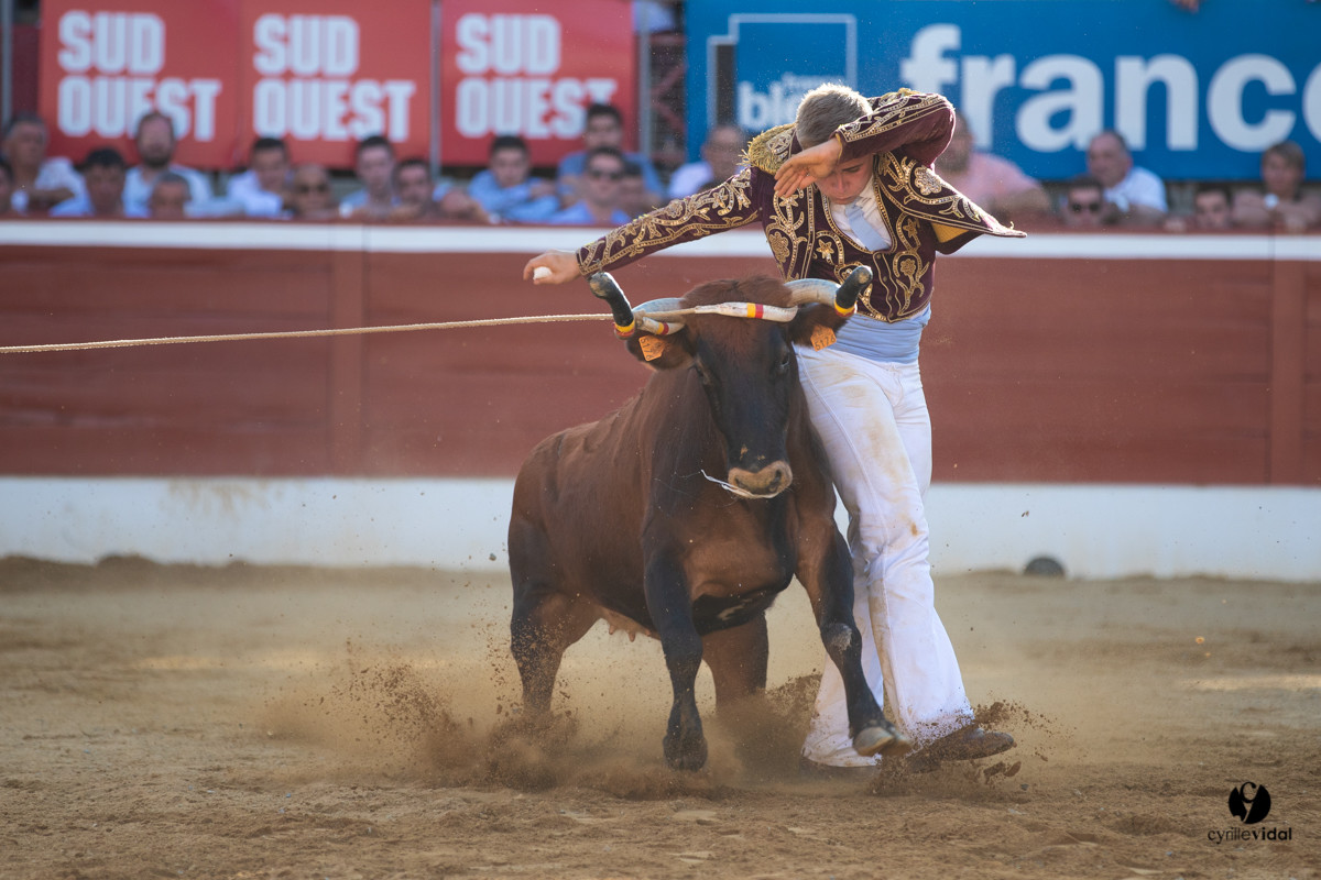 Mont-de-Marsan championnat de France de course landaise 2019
