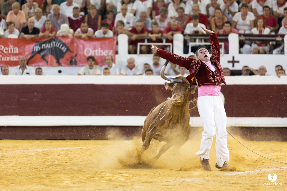 Dax concours landais 2022