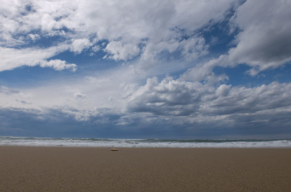 Paysages des Landes