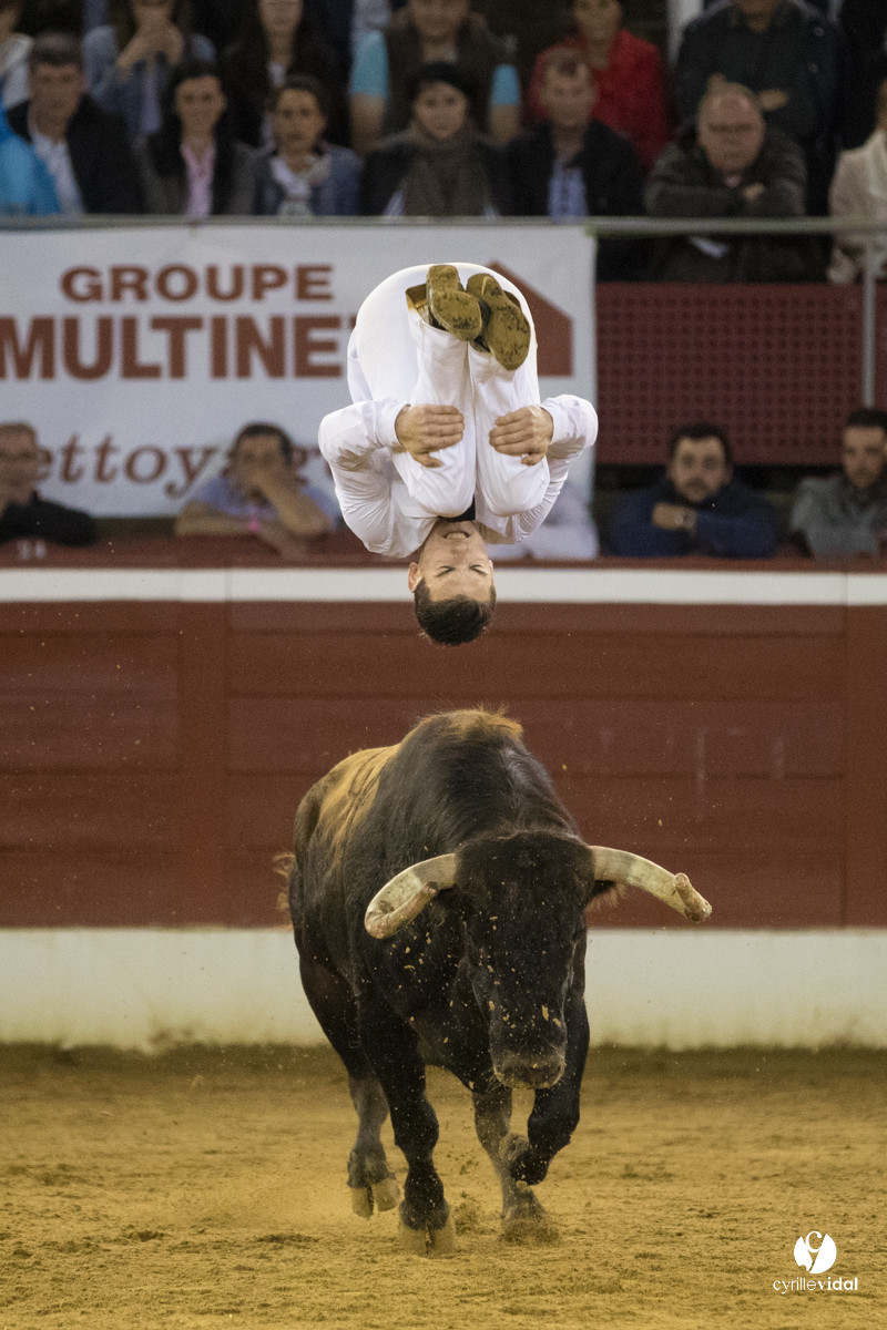 Mont-de-Marsan festival Art et Courage