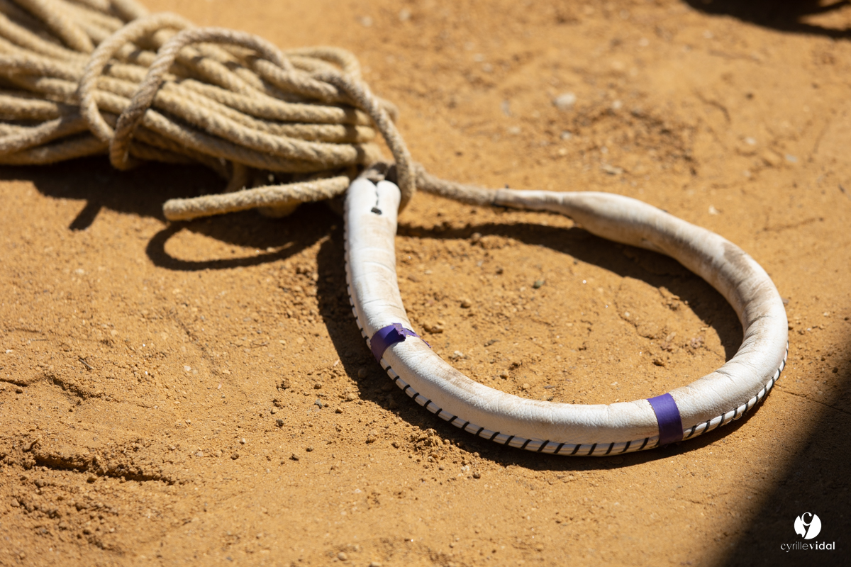 Course landaise à Panjas