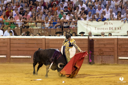 Corrida de Villeneuve-de-Marsan