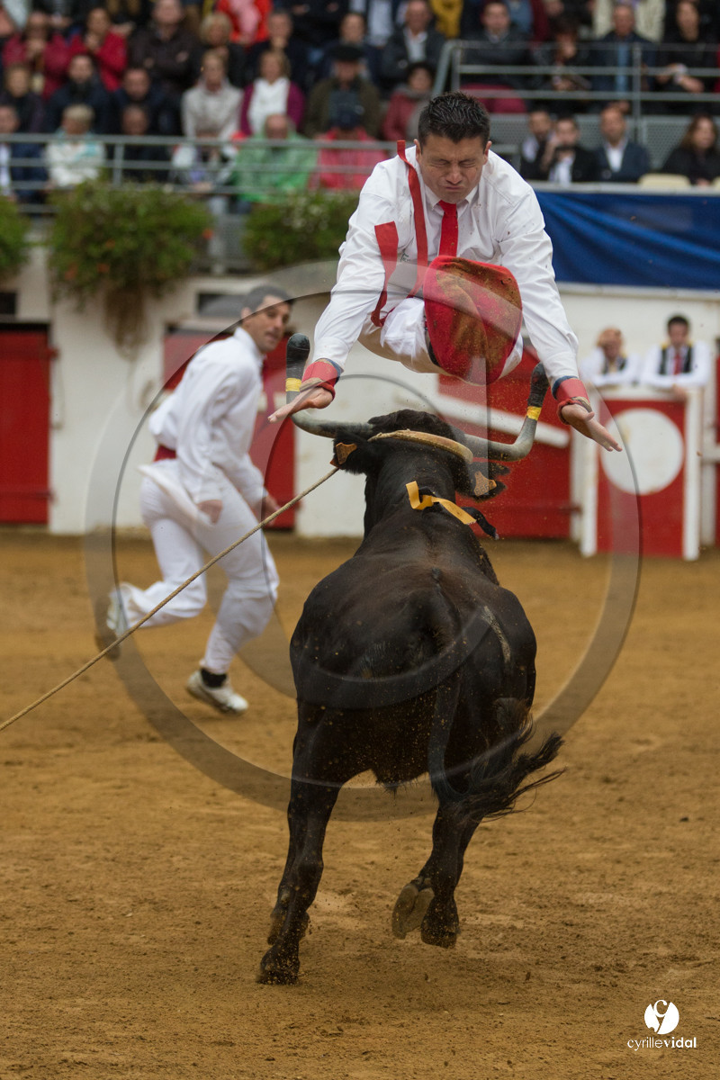 Nogaro Championnatde France de Course Landaise 2017