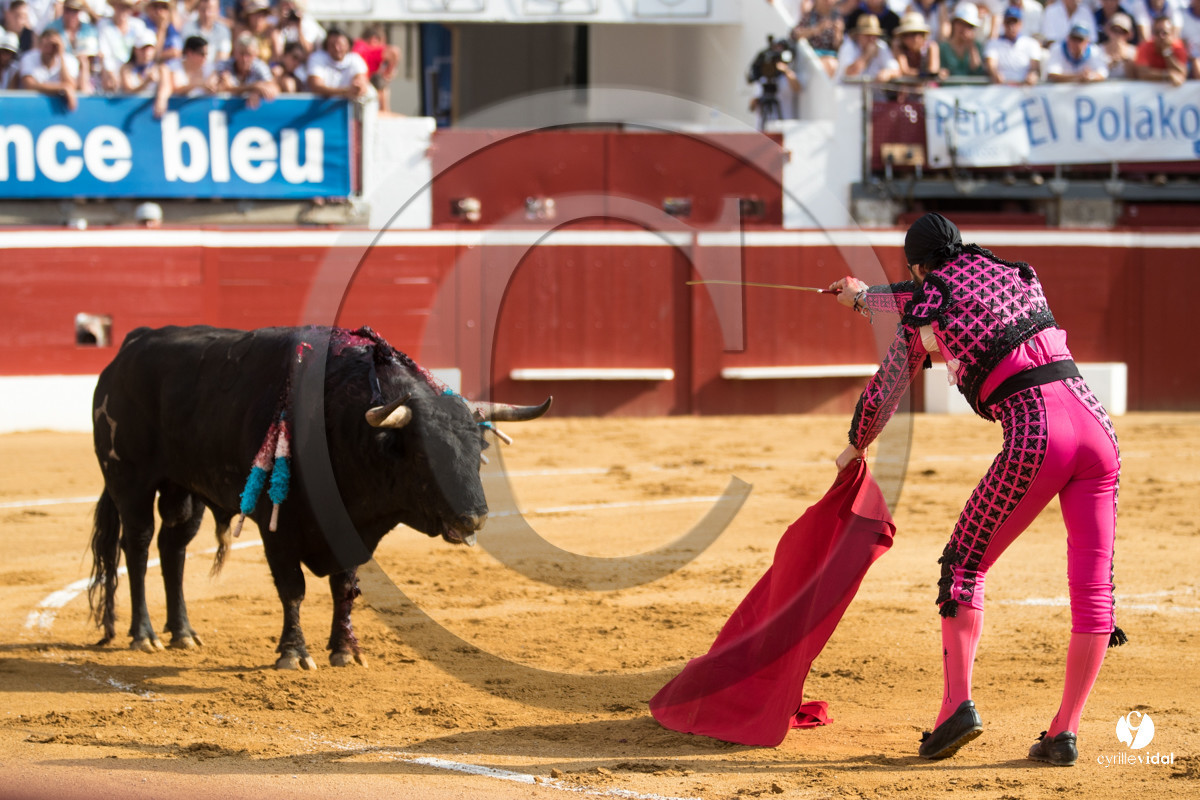 Mont-de-Marsan corrida de Jandilla pour Padilla - Talavante - Roca Rey