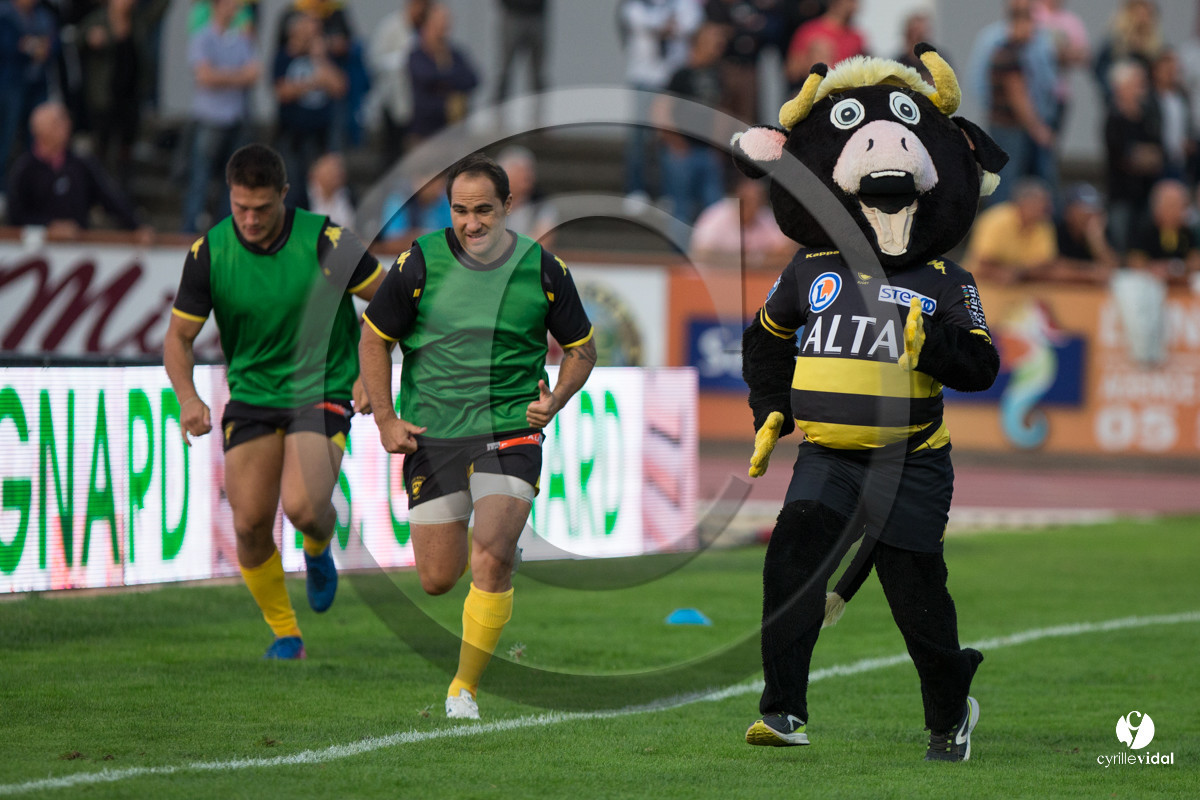 Rugby STADE MONTOIS - VANNES