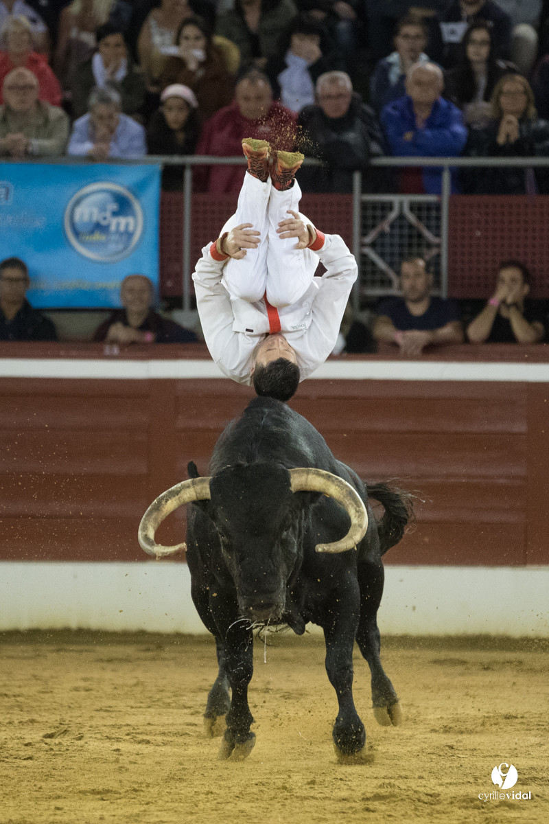 Mont-de-Marsan festival Art et Courage