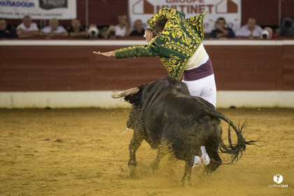 Mont-de-Marsan festival Art et Courage