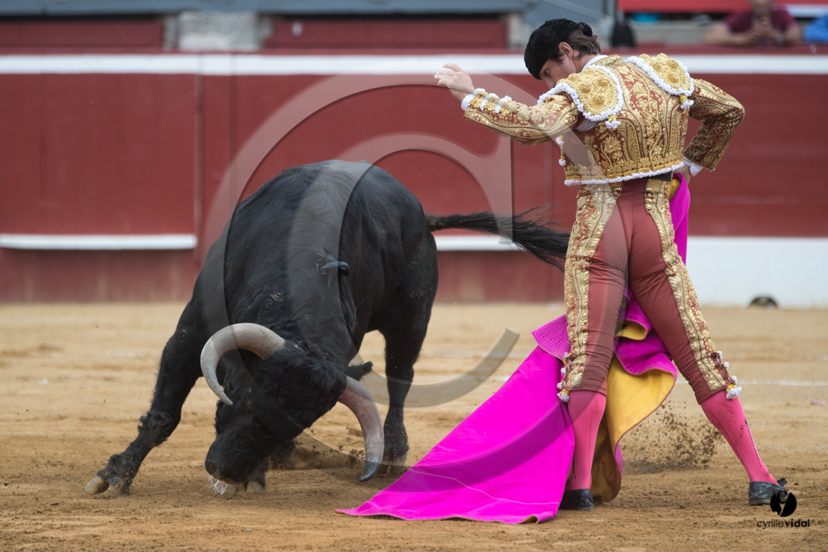 Mont-de-Marsan corrida de Garcigrande pour El Juli et Juan Bautista