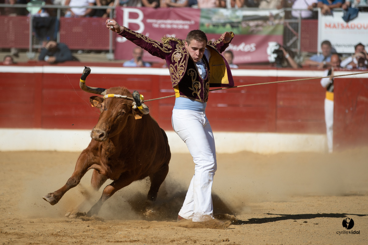 Mont-de-Marsan championnat de France de course landaise 2019