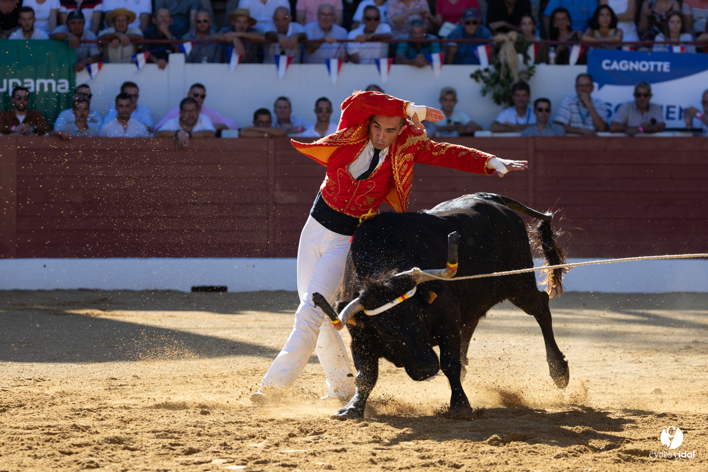 Aire-sur-l'Adour Championnat de France de course landaise 2023
